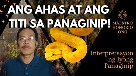 panaginip na ahas|Mga Ahas sa Panaginip: Kahulugan, Interpretasyon, At .